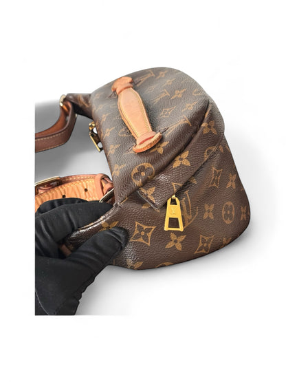 RARE - Discontinued Louis Vuitton Classic Monogram Belt Bag